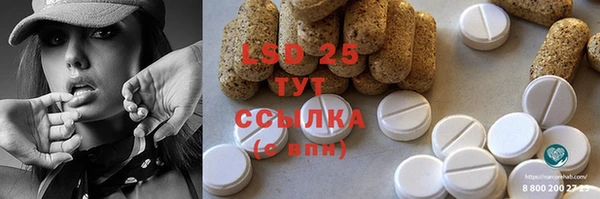 крисы Баксан
