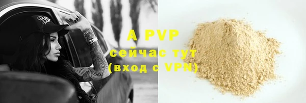 крисы Баксан