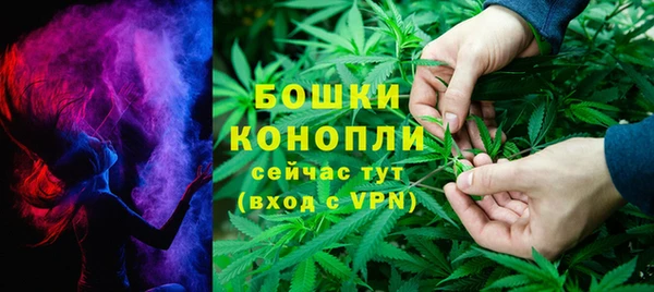 крисы Баксан