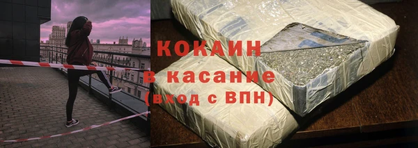 крисы Баксан