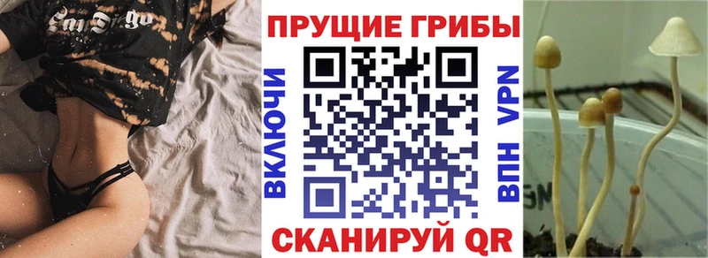 дарк нет Telegram  Усть-Джегута  Псилоцибиновые грибы Magic Shrooms  KRAKEN ONION 
