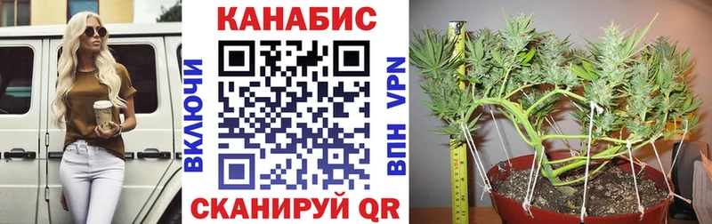 даркнет состав  Усть-Джегута  Марихуана THC 21%  omg рабочий сайт 